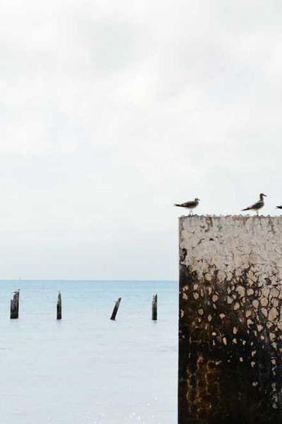 Best Missouri LLC Formation Services  