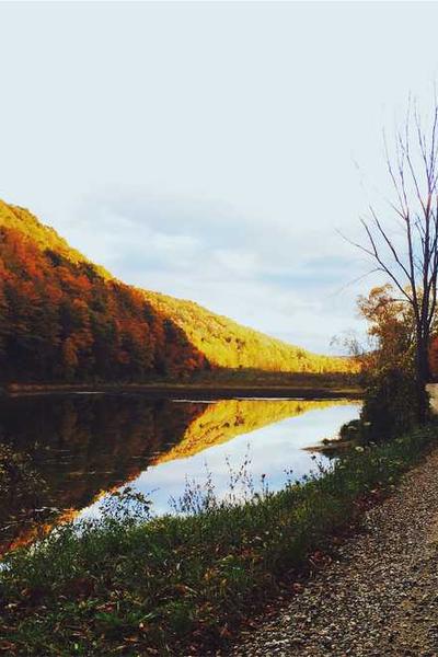 NorthWest Registered Agent LLC Service Review  