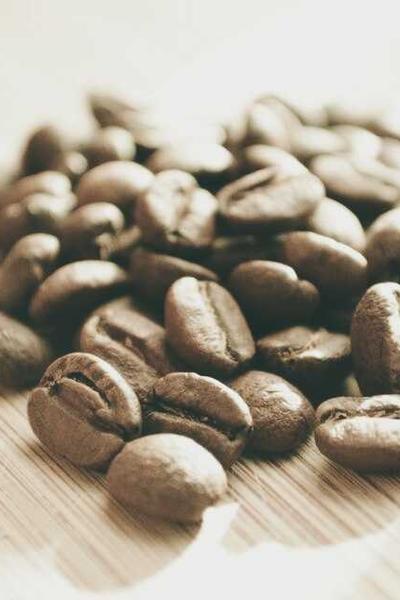 Best Nebraska LLC Formation Services  