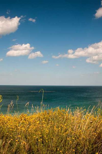 Best Alaska LLC Formation Services  