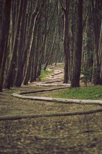 How to Start an LLC in District of Columbia 