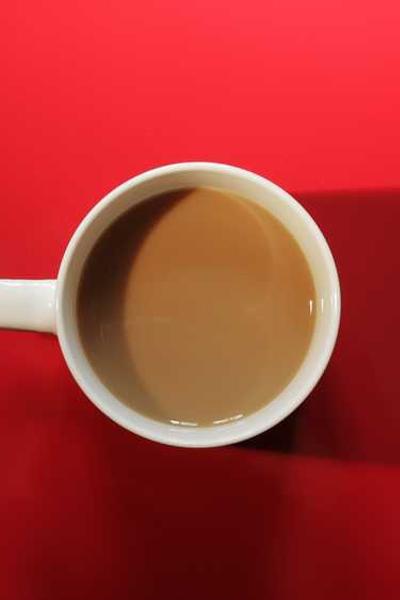 TailorBrands LLC Service Review 