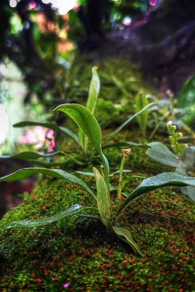 Best New Jersey LLC Formation Services 