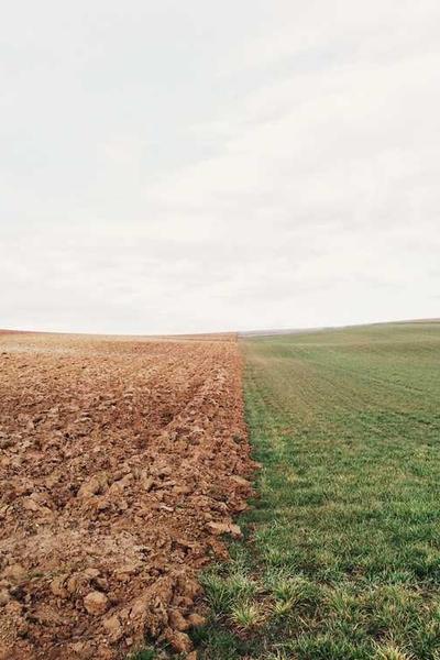 How to Start an LLC in Wyoming 