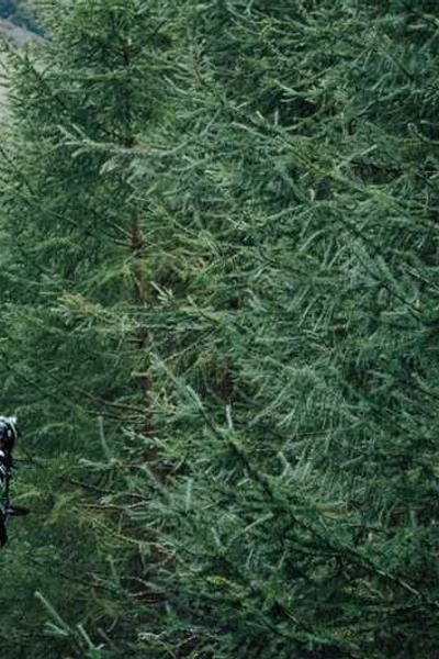 How to Start an LLC in Arizona 