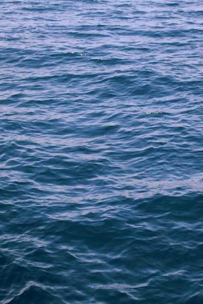 How to Start an LLC in New Hampshire  