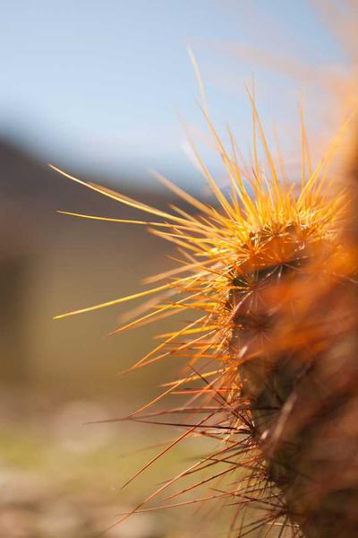 How to Start an LLC in Mississippi 