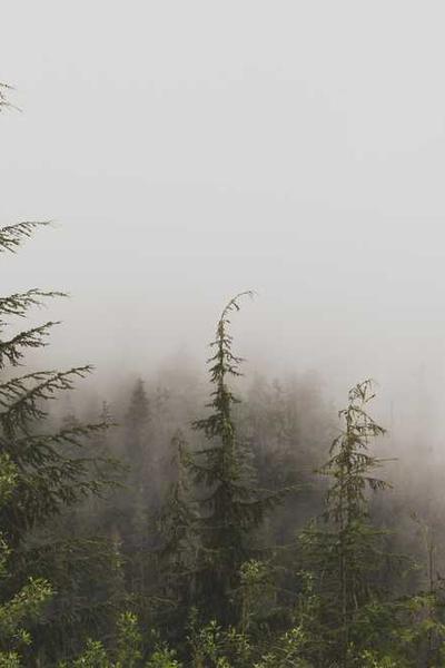 How to Start an LLC in Connecticut 