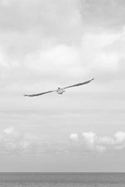 Best New Mexico LLC Formation Services  