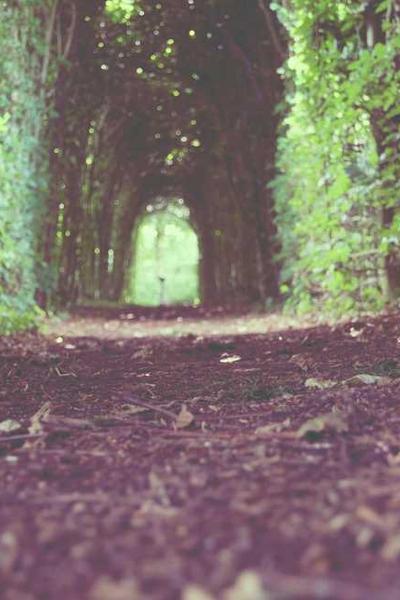 How to Start an LLC in Ohio  