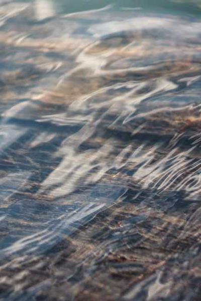 How to Start an LLC in Michigan 