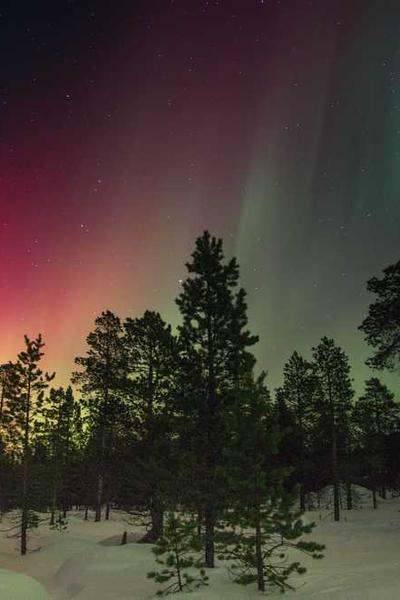 Best Delaware LLC Formation Services  