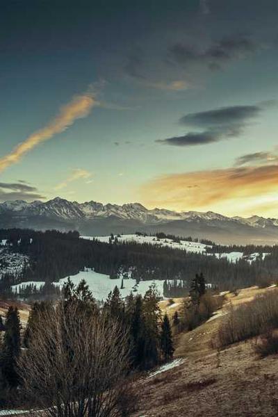 How to Start an LLC in California 