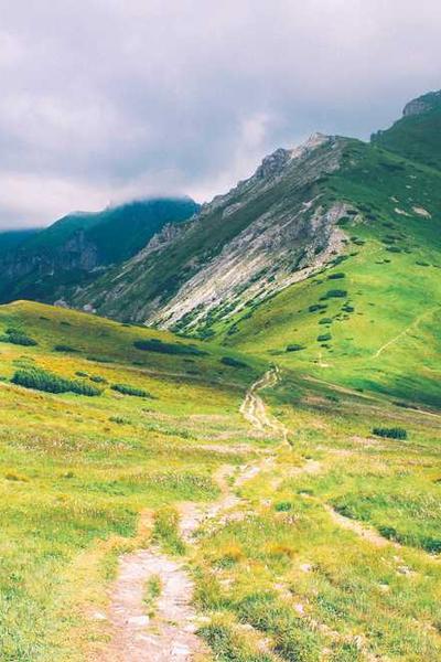 Best Virginia LLC Formation Services 