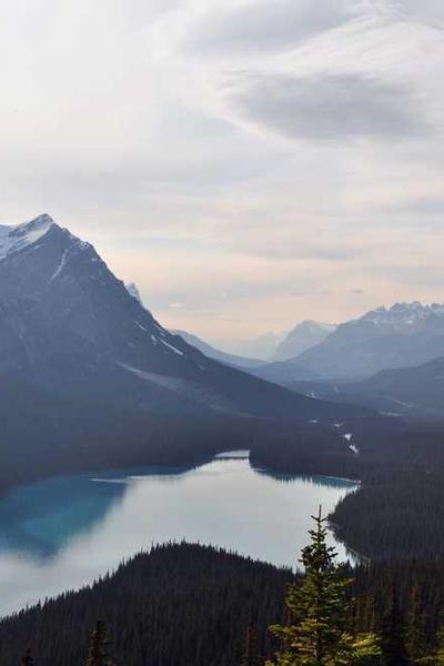 How to Start an LLC in Delaware  