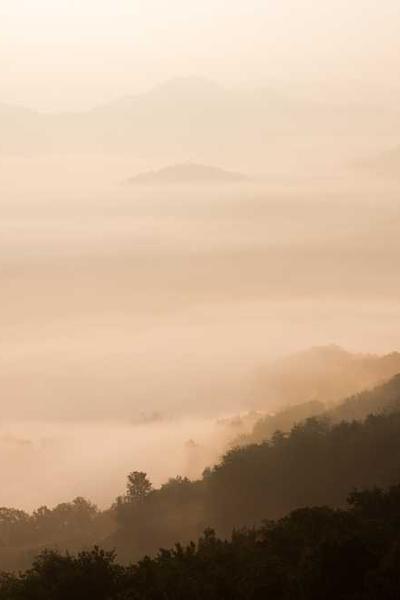 Best Washington LLC Formation Services  